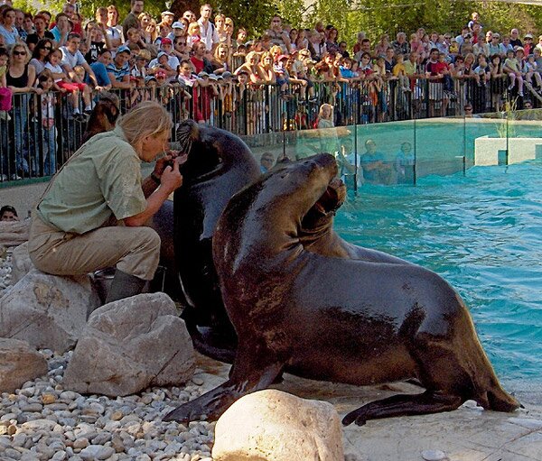 Шьонбрун - най-старата зоологическа градина в света (Schonbrunn Zoo)